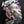 Load image into Gallery viewer, "Mamba Move Forward" Hoodie