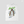 Load image into Gallery viewer, "THE ANT HAS AWAKENED” Sleeveless Tee