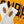 Load image into Gallery viewer, "BruceLee" socks