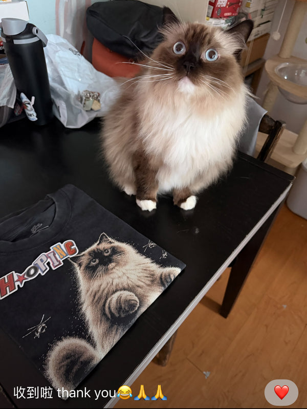【AI 客製化】CATZILLA 貓咪 復古洗水 Washed Tee｜將你家主子變成終極巨獸！