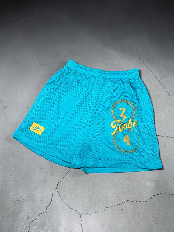 "MAMBA HALO - New York" basketball shorts