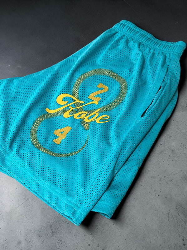 "MAMBA HALO - New York" basketball shorts