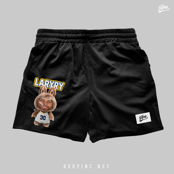 "LARYRY" basketball shorts (第四代)