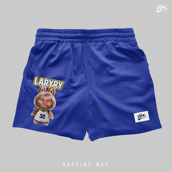 "LARYRY" basketball shorts (第四代)