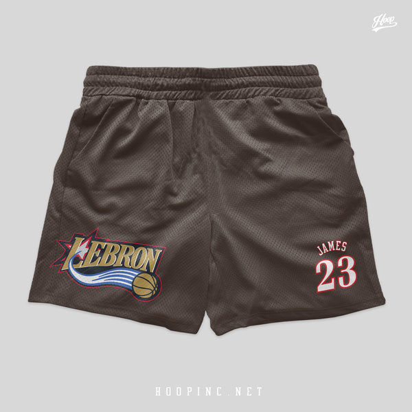 "Sixers Lebron" basketball shorts