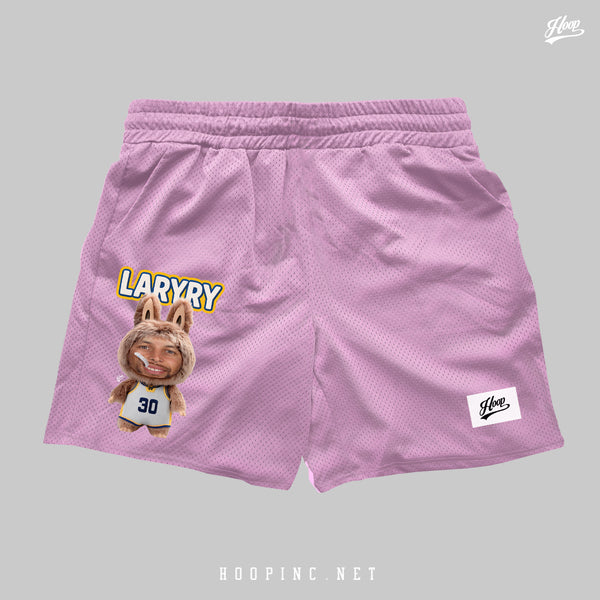 "LARYRY" basketball shorts (第四代)