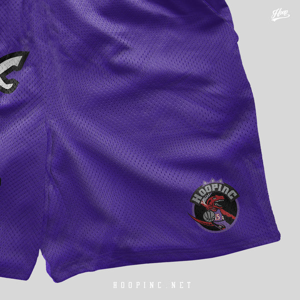 "HOOPINC RAPTORS" basketball shorts