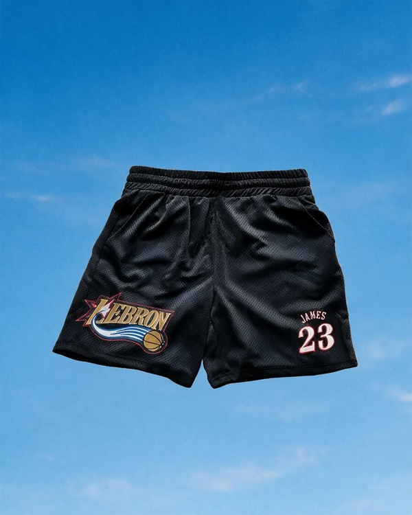 "Sixers Lebron" basketball shorts
