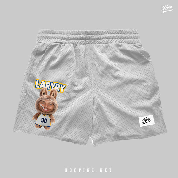 "LARYRY" basketball shorts (第四代)